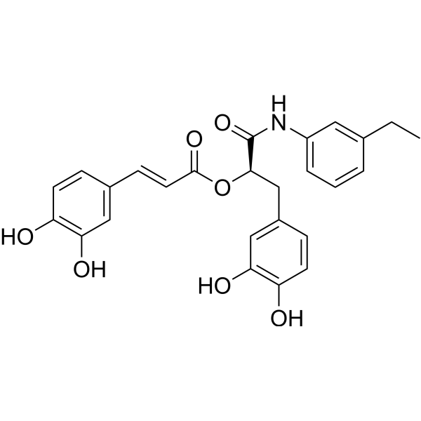 SARS-CoV-2-IN-48